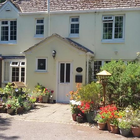 بورنماوث Coach House Cottage المظهر الخارجي الصورة